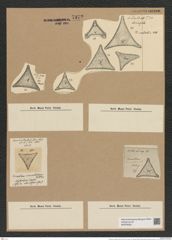 Triceratium caudatum Witt. (de-Toni-Nr.: Genus 140, Species 3884) Zeichnungen Sammlung Grunow Nr. 7372 (NHMW-BOT-W0376435)